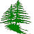 Mountain High Realty