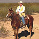 Dianna Tangen, Real Estate Professional in Wickenburg, AZ