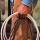 Stagecoach R, Real Estate Pro in Bandera, TX