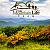 , Real Estate Agent in Blue Ridge
