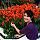 Maira Emen, Home Buyer in Cotati, CA