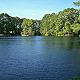 Anita, Agent in Murrells Inlet, SC