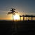 Annette Lawr, Real Estate Pro in Palm Harbor, FL