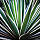 North Scotts, Real Estate Pro in Scottsdale, AZ