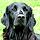 Gordon W Mil, Real Estate Pro in Huntington, VT