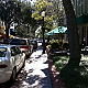 Theresa Parsons, Agent in Winter Park, FL