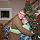 Shawna Sturm, Other/Just Looking in Wausau, WI
