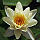 Sonsie Conroy, Real Estate Pro in San Luis Obispo County...