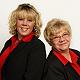 The Willis Team