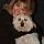 Shirleen Tom, Real Estate Pro in Tonawanda, NY