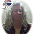 , Broker in Elkhart