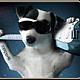 Pet Planet Realty