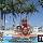 Steven Zimme, Real Estate Pro in New Port Richey, FL