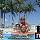 Steven Zimme, Real Estate Pro in New Port Richey, FL