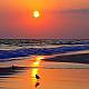 T. Twynette Harvell, Agent in Madeira Beach, FL