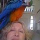 Betty Fryman, in Castle Rock, CO