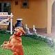 Property Manager