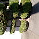 seller0101, in San Jose, CA