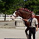 Larry E. Barnes Photo 1