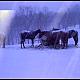 Homeacreage, in Morganton, NC