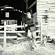 Michael Martin Photo 3