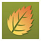Agentleaf, in Menlo Park, CA